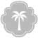 Dolphin Experience